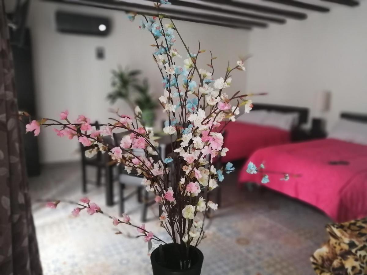 巴利亚多利德Casa Mama Bety公寓 外观 照片