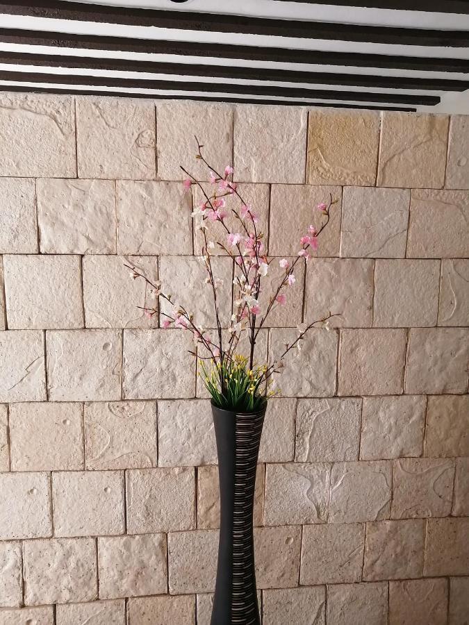 巴利亚多利德Casa Mama Bety公寓 外观 照片