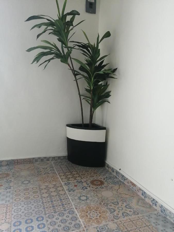巴利亚多利德Casa Mama Bety公寓 外观 照片